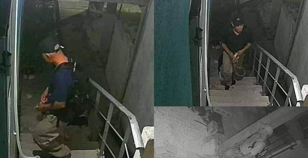 Investigan denuncia sobre presunto agresor de perros en Playa del Carmen