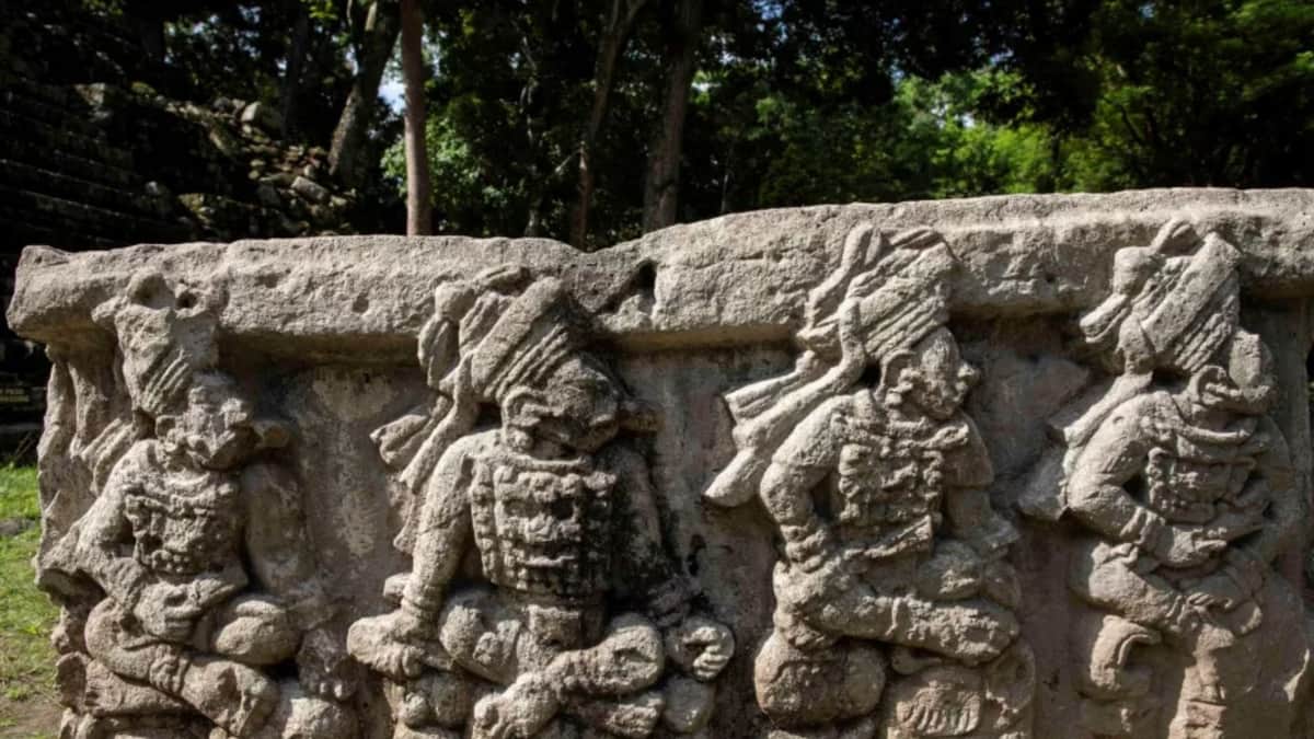 Descubren canales de tierra de cuatro mil años de antigüedad creados por los predecesores de los mayas