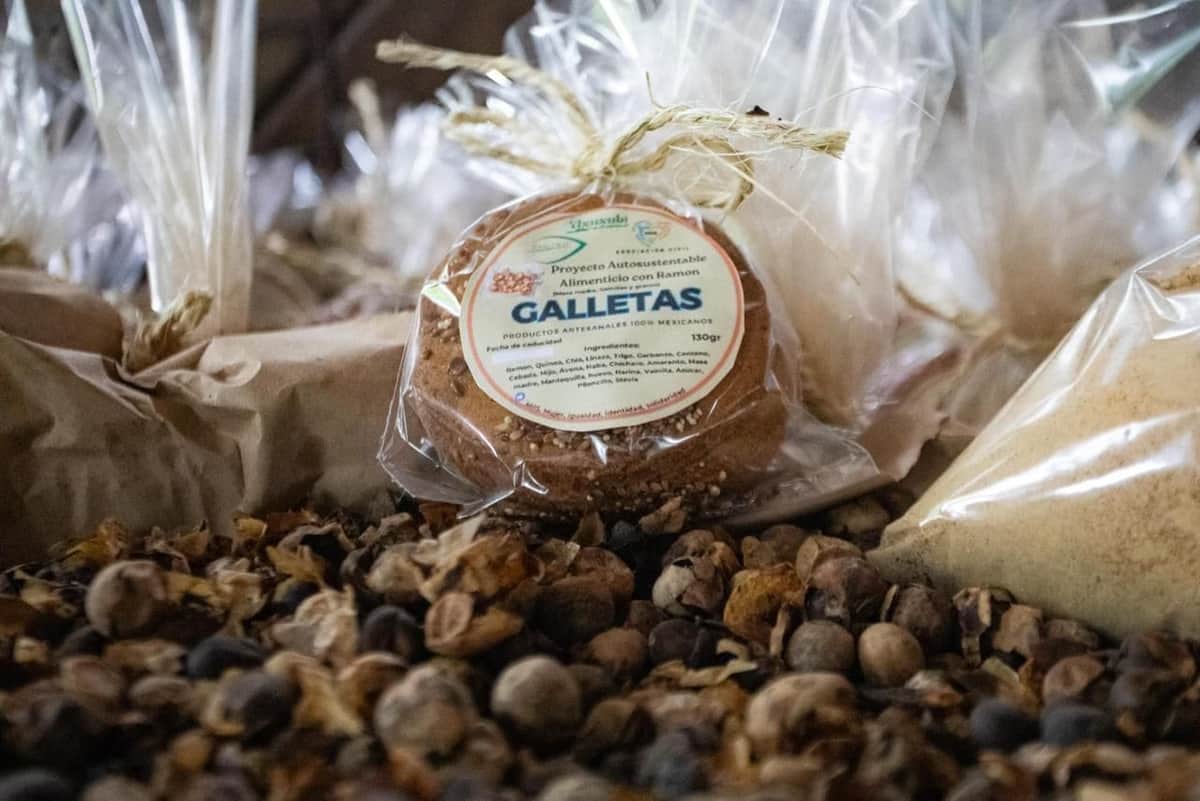 Con proyectos de inversión en agronegocios e industria, Solidaridad diversificará su economía: Estefanía Mercado