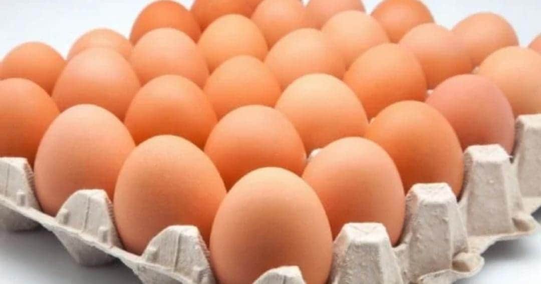 Sigue contaminación de alimentos en Estados Unidos; retiran pepinos y huevos con salmonela