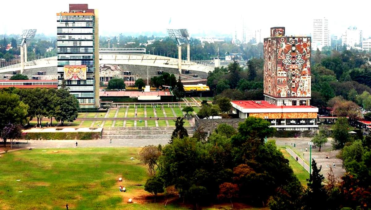 ¿Sabes cuáles son las cinco cosas que sólo puedes hacer en la UNAM? ¡Descúbrelas!