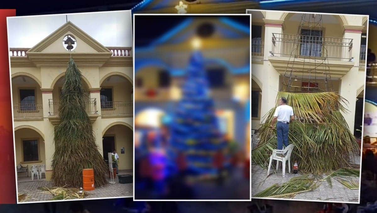 VIDEO: Se burlan de árbol de Navidad hecho de palma en Veracruz y el resultado sorprende en redes sociales