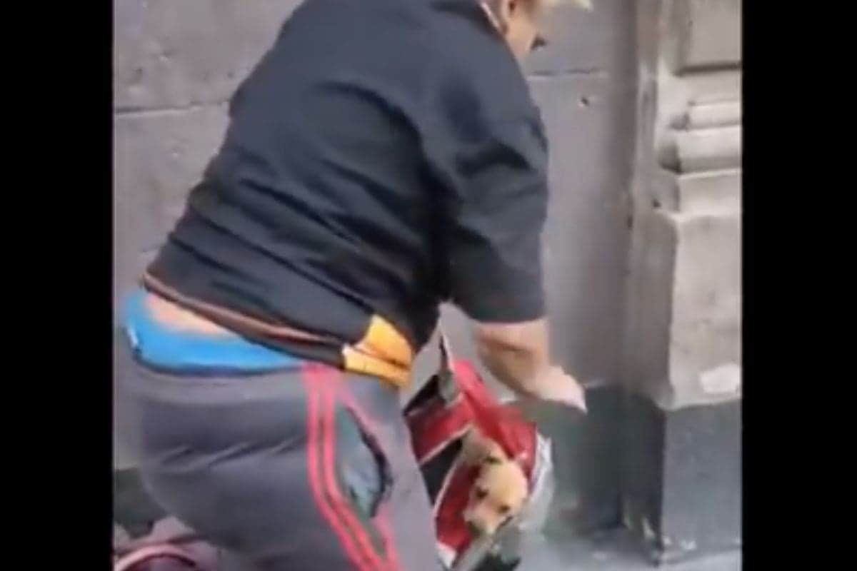 VIDEO: Mujer es captada drogando perritos y gatos para pedir dinero en Centro de CDMX
