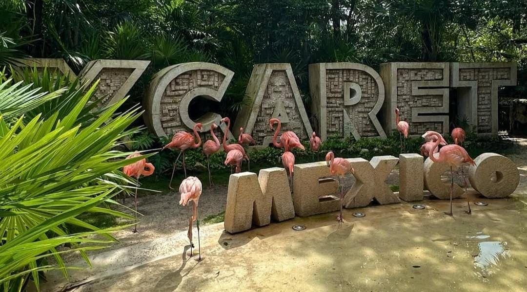 Invita Profeco a unirse a acción colectiva contra Experiencias Xcaret por no cumplir a clientes