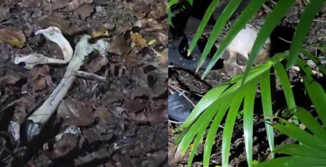 Hallan restos humanos cerca del bulevar Bahía de Chetumal