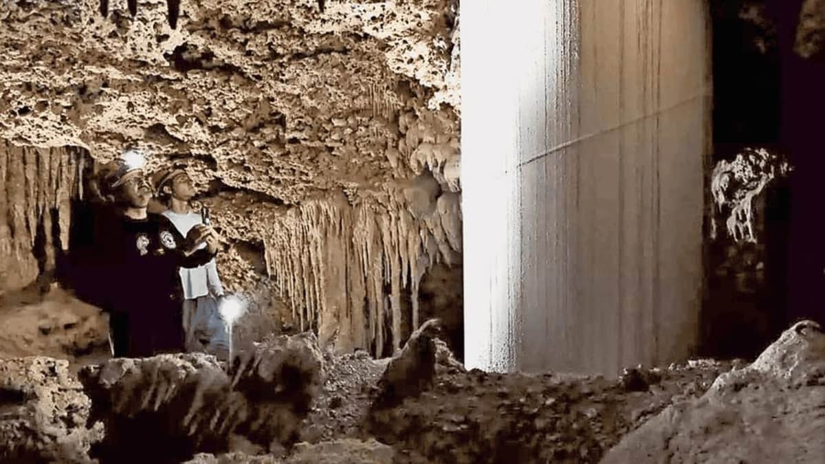 ¡Palo al Tren Maya! Suspensión definitiva contra tramos 5 Norte, 5 Sur y 7 por atentar contra un medio ambiente sano