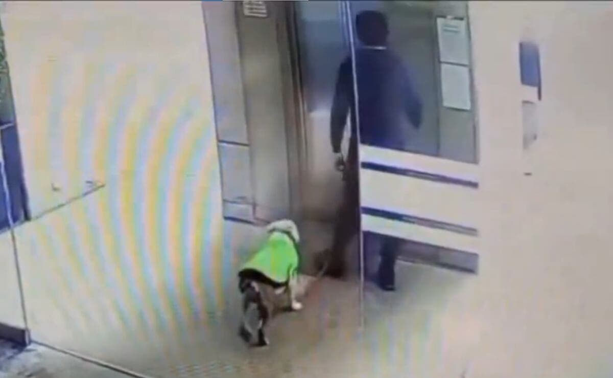 VIDEO: Investigan caso de supuesto médico que maltrató a perrito en hospital de Huixquilucan, Edomex