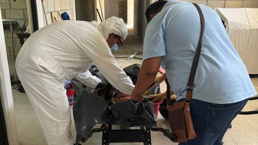 Inicia proceso de vinculación a mujer por asesinar a un perrito en Playa del Carmen