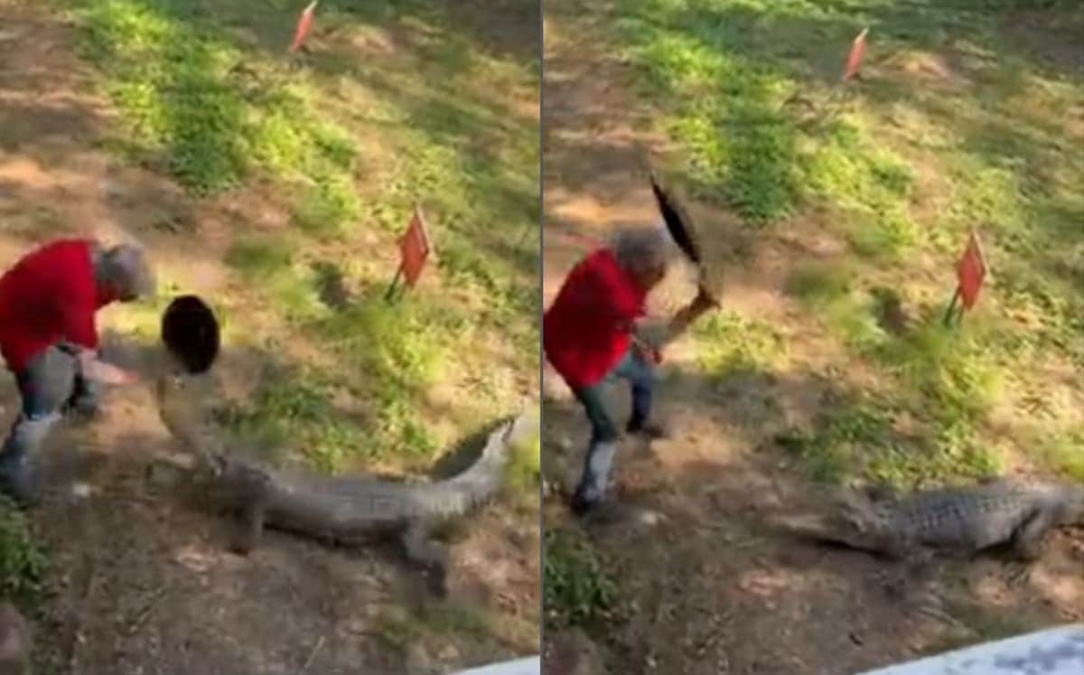 VIDEO: Captan a hombre defendiéndose de un cocodrilo tras golpearlo con un sartén