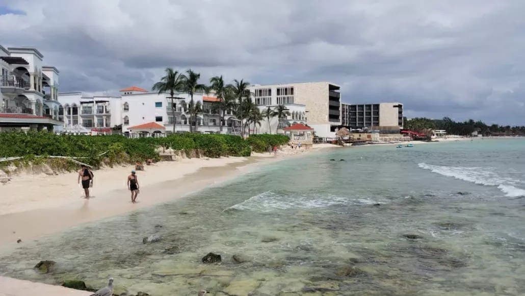 Alertan sobre grave proceso de erosión irreversible en costa de Playa del Carmen