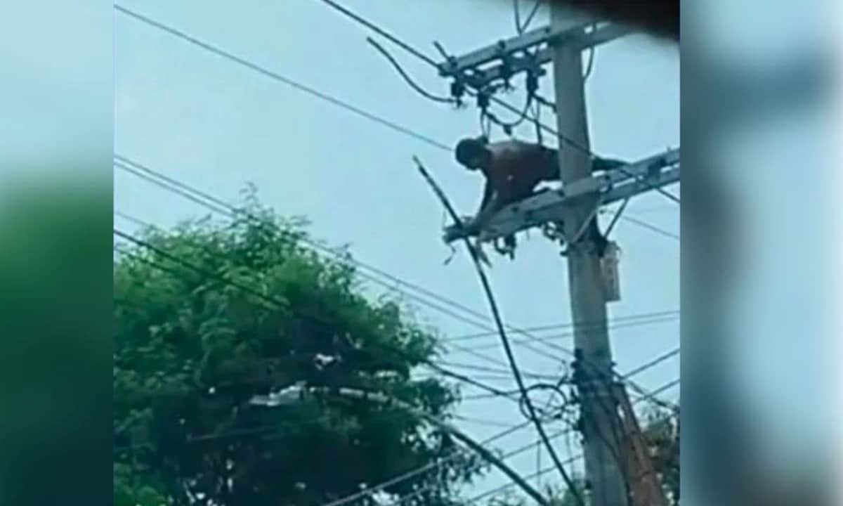 VIDEO: Delincuente termina electrocutado tras robar los cables de un poste