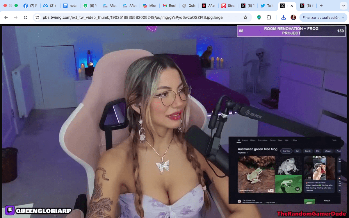 VIDEO: Streamer muestra por error app para aumentar sus espectadores y Twitch la cancela