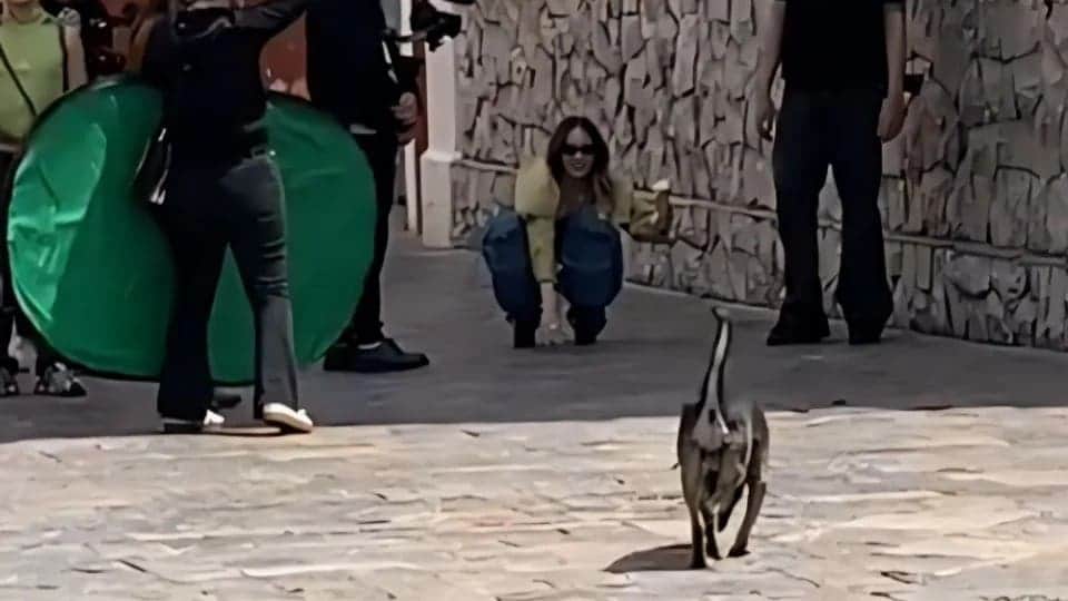 Video: Belinda comparte tierno gesto con lomitos callejeros durante grabación en Puebla