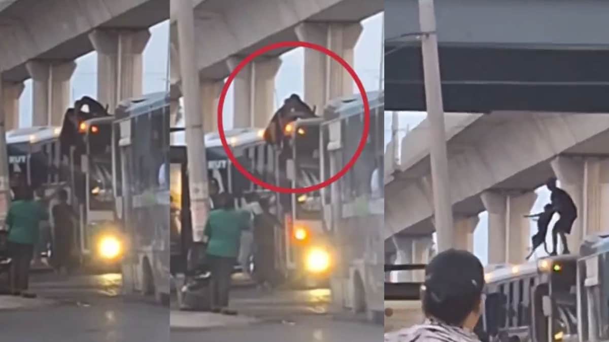 Video: Perrito cae encima de un camión del transporte público cerca de estación del metro en Monterrey