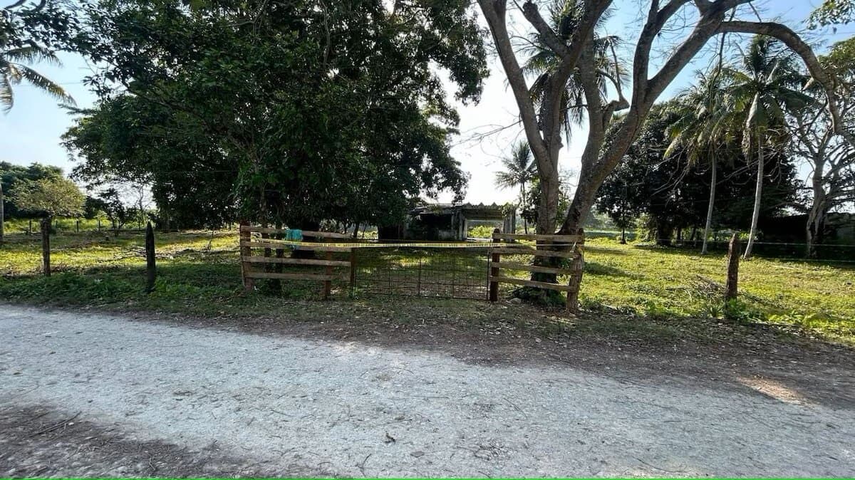 Hallan fosas clandestinas en rancho de Macuspana, Tabasco