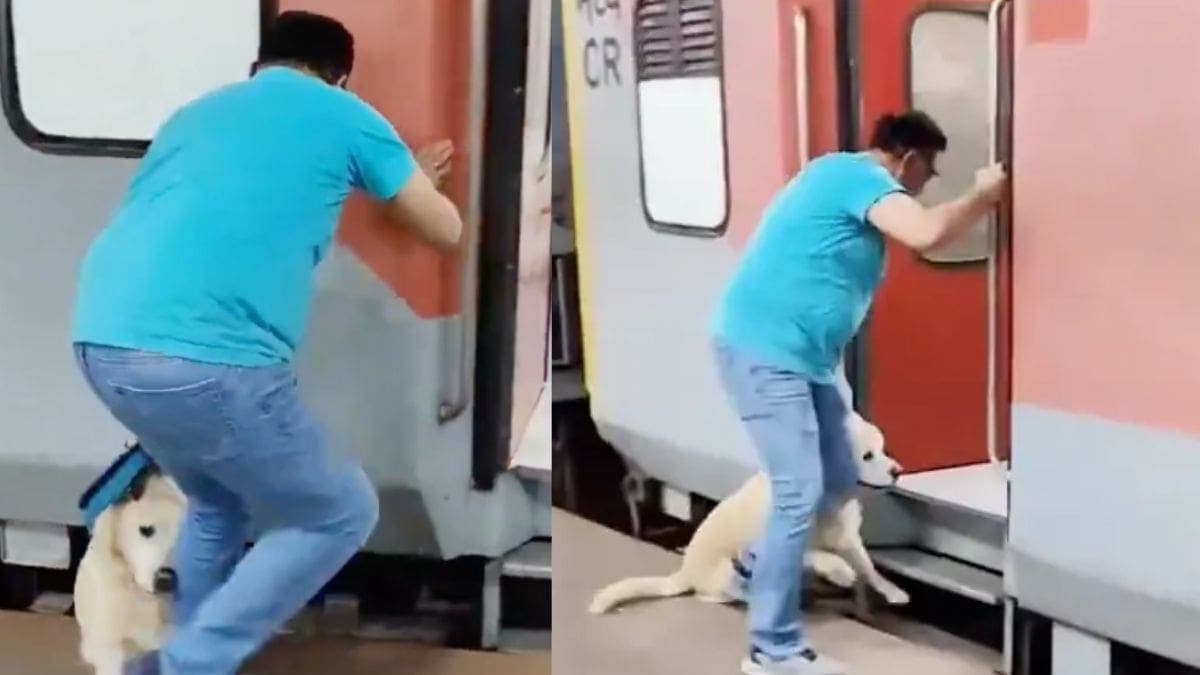 VIDEO: Perro cae a las vías de un tren en la India luego de que su dueño intentó subirse estando en movimiento