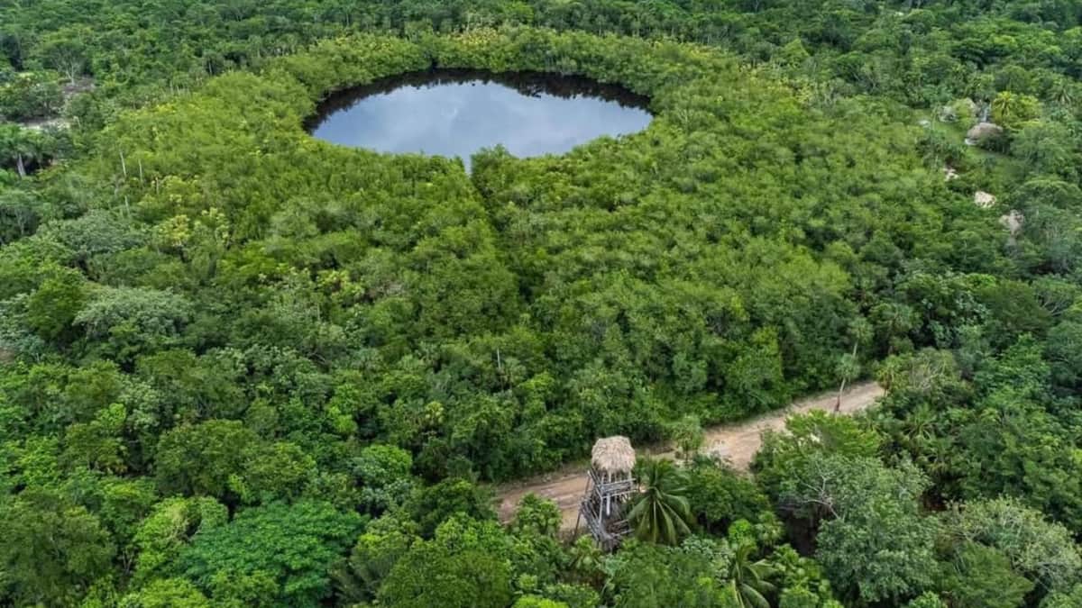 Incumple Mota Engil compromisos con comunidad de Uxuxubi en tramo del Tren Maya