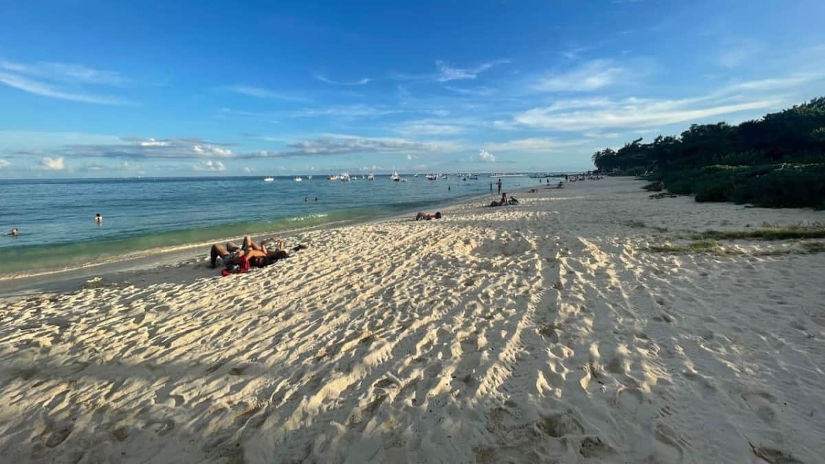 Sobresalen tres bahías de Playa del Carmen por estar más libres de sargazo para la temporada alta