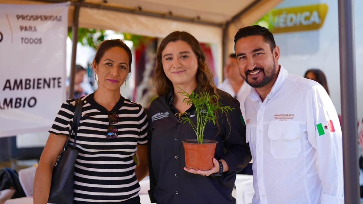 Concluye rezago de permisos ambientales en Playa del Carmen