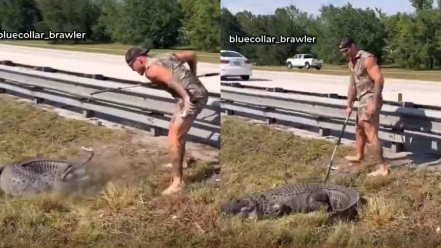 Video: "Tarzán" moderno ayuda a la policía a capturar un caimán en Estados Unidos