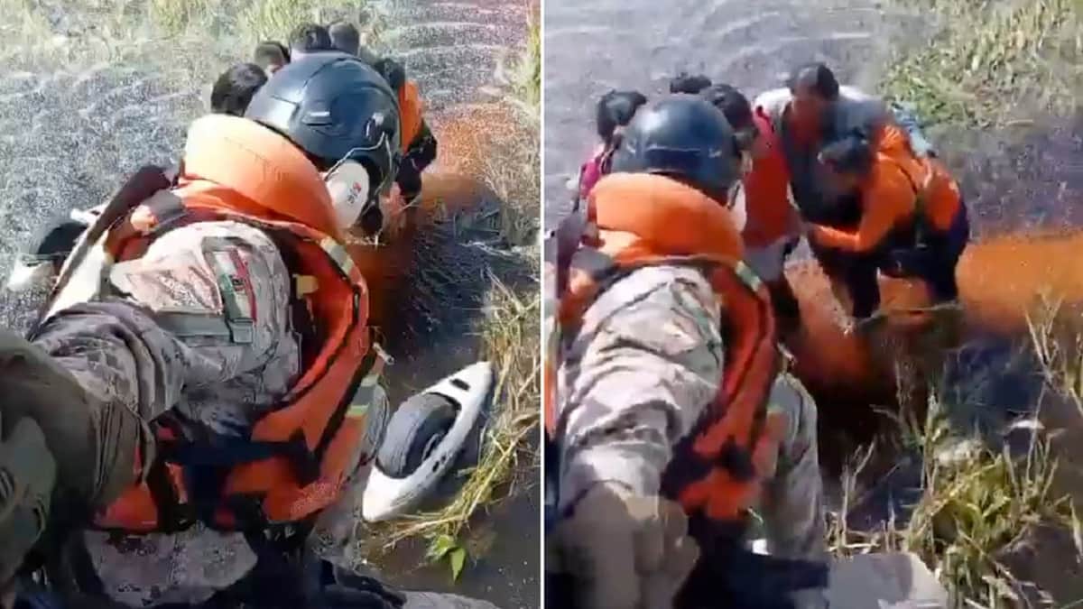 Video: Cinco personas sobreviven tras caer avioneta en un pantano con caimanes en Bolivia