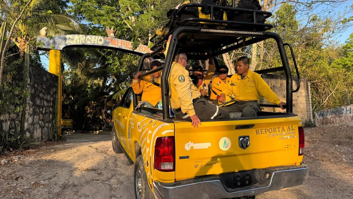 Se registra el primer incendio forestal de la temporada en Playa del Carmen