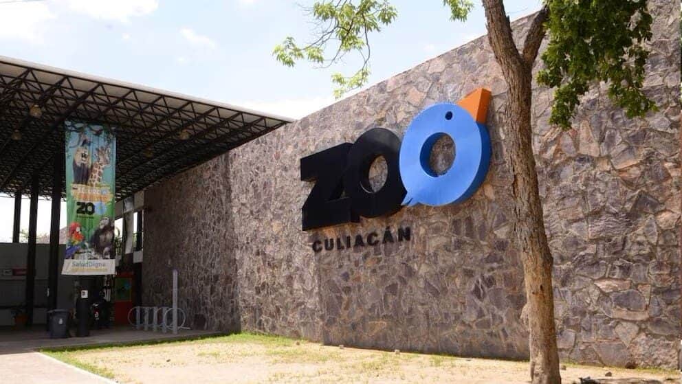 Aseguran 119 animales por maltrato y mal estado de salud en el Zoológico de Culiacán