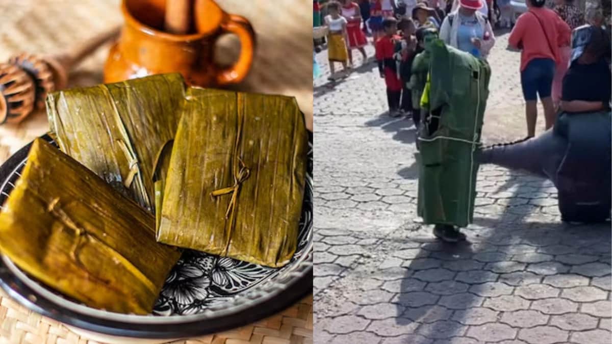 Video: Niño se disfraza de tamal en festival escolar para homenajear a su mamá
