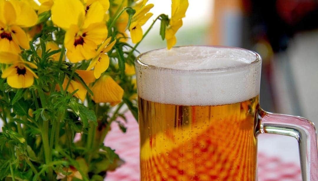 Confirman ley seca en Quintana Roo por elección judicial; inicia el primer minuto del sábado