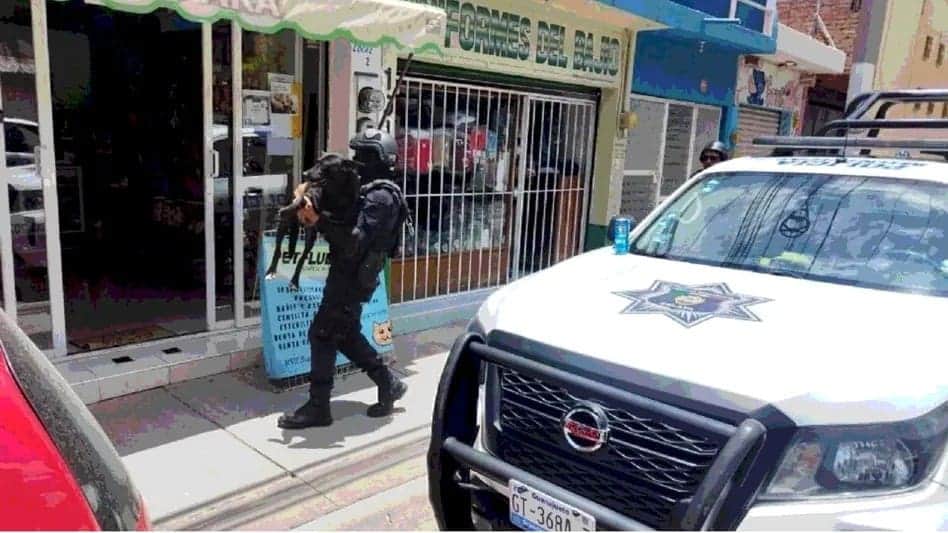 Atacan a machetazos a perrita que cuidaba a sus cachorros en Celaya, Guanajuato