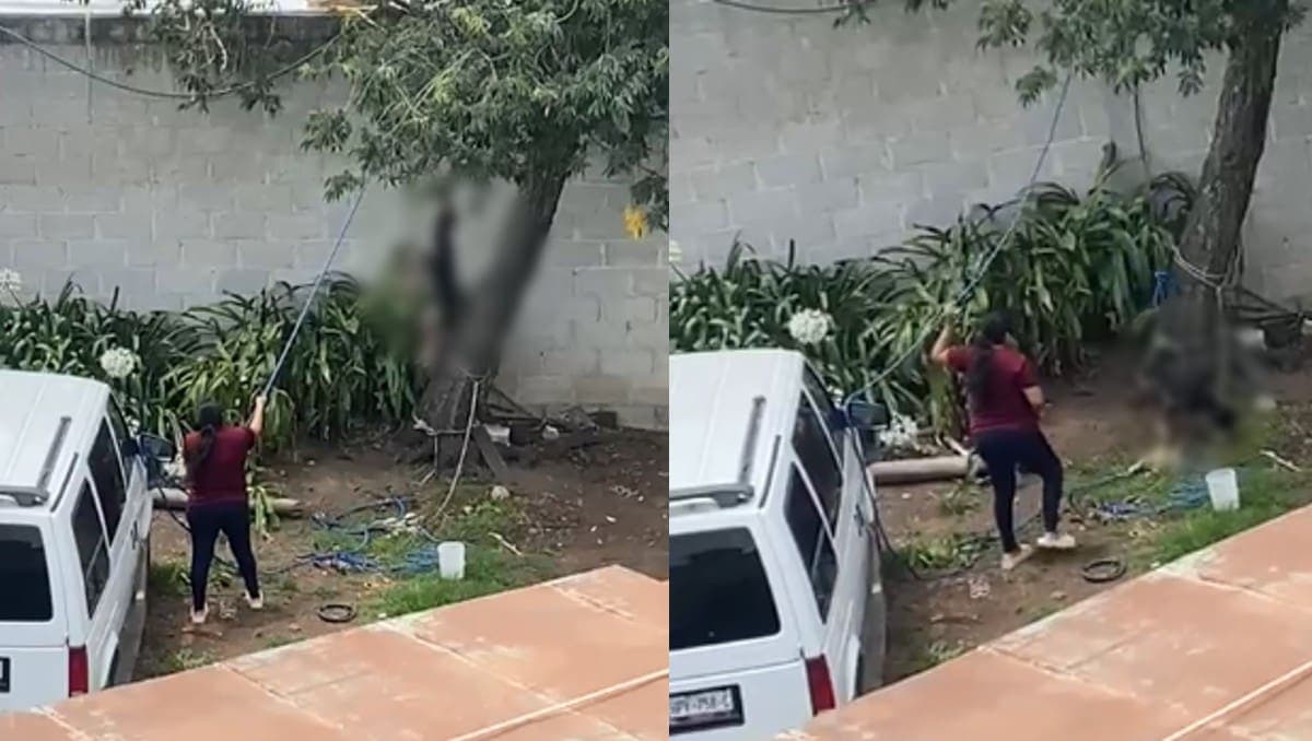 Video: Mujer ahorca a perrito con una cuerda en Tulancingo, Hidalgo