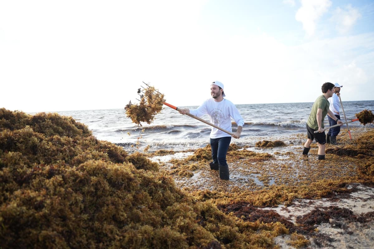 Fernando Muñoz se suma al ‘Reto Sargazo’ por Playa del Carmen