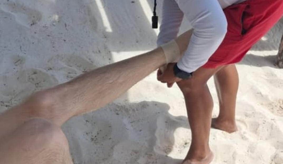 Bañistas terminan lesionados por la presencia de rayas y mantarrayas en playas de Cancún