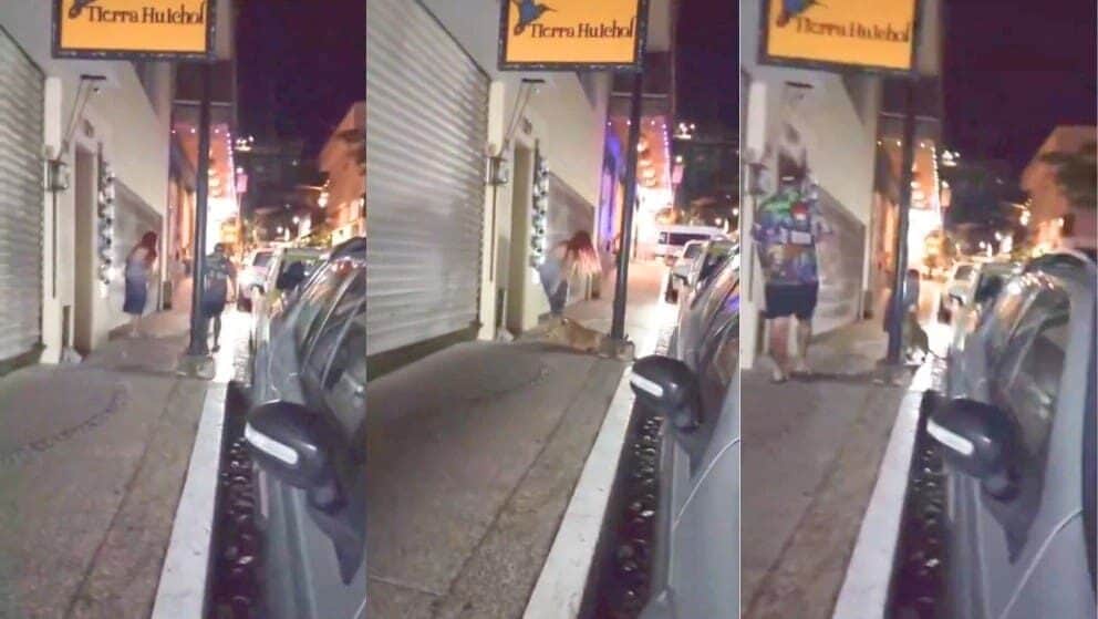 Video: Pareja extranjera pasea con un león por las calles de Puerto Vallarta, Jalisco