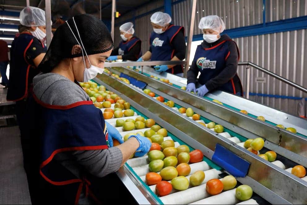 Impone Estados Unidos arancel del 17.09% al jitomate de México