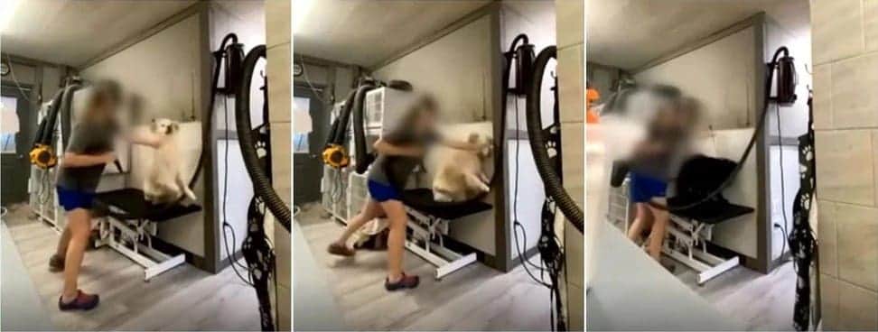 Video: Exhiben a una peluquera de mascotas golpeando perros mientras los baña en Estados Unidos