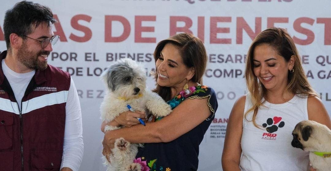 Por primera vez en Quintana Roo, Mara Lezama impulsa las Caravanas de Bienestar Animal