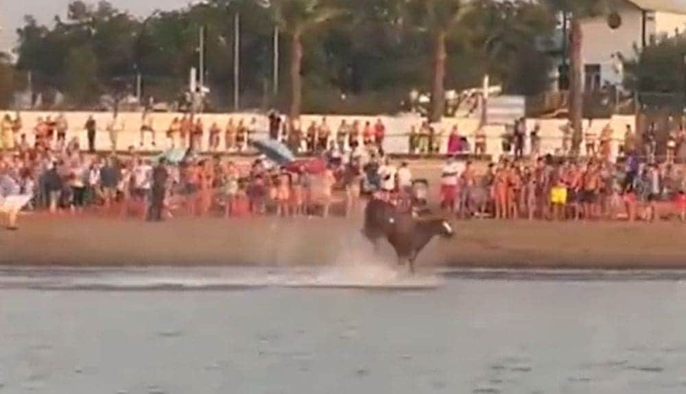 Video: Caballo se mete al mar durante una carrera en España