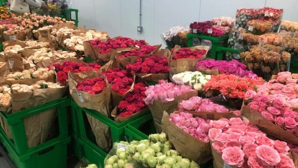 Incauta Estados Unidos metanfetaminas con valor de 8 mdd ocultas en cargamento de rosas procedente de México