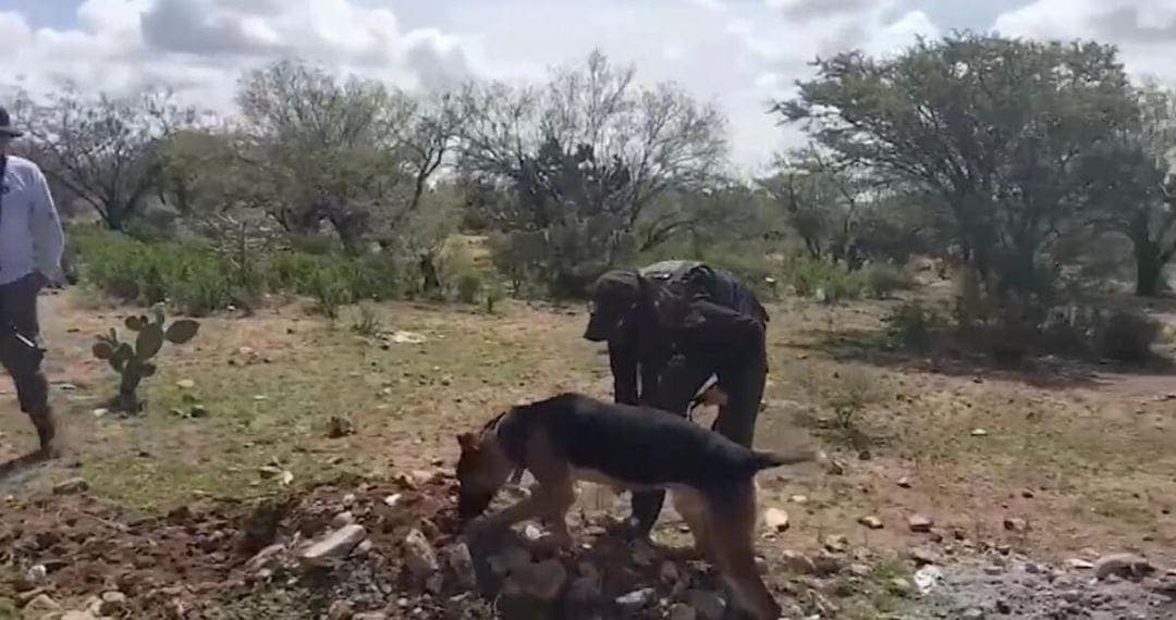 Fiscalía confirma hallazgo de restos óseos en comunidad de Valparaíso, Zacatecas