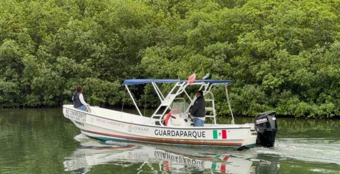 Cocodrilo ataca a turista extranjero en la Zona Hotelera de Cancún