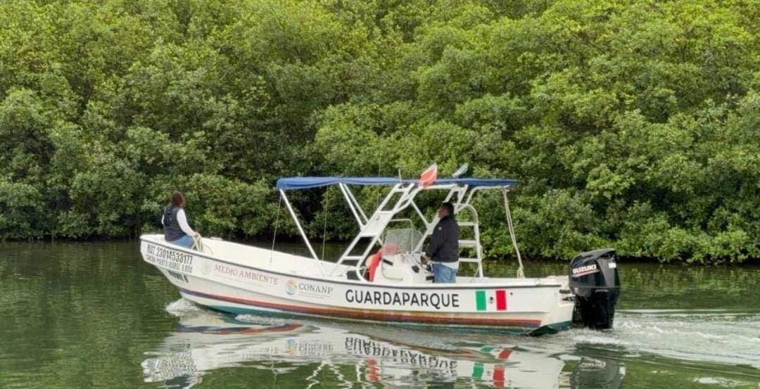 Cocodrilo ataca a turista extranjero en la Zona Hotelera de Cancún