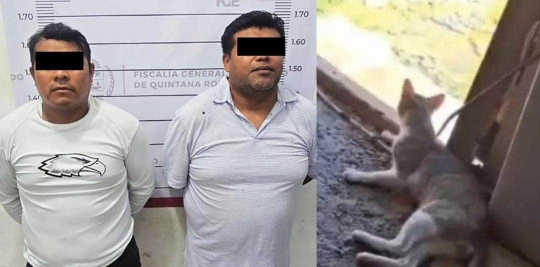Video: Detienen a dos sujetos por maltratar a un gato en Tulum