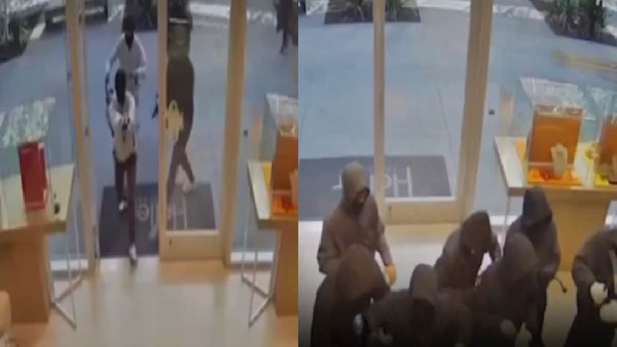 Video: Sujetos armados roban más de un millón de dólares en una joyería en Estados Unidos