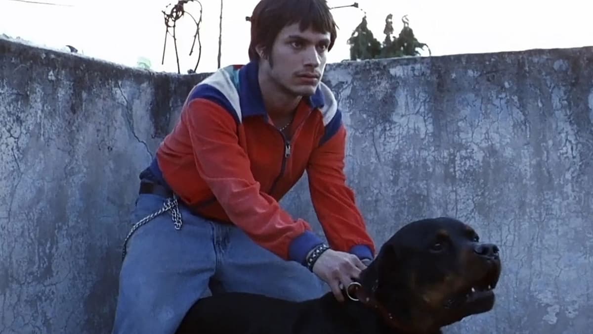 Proyectarán la película de "Amores Perros" en Bellas Artes con motivo de su 25 aniversario