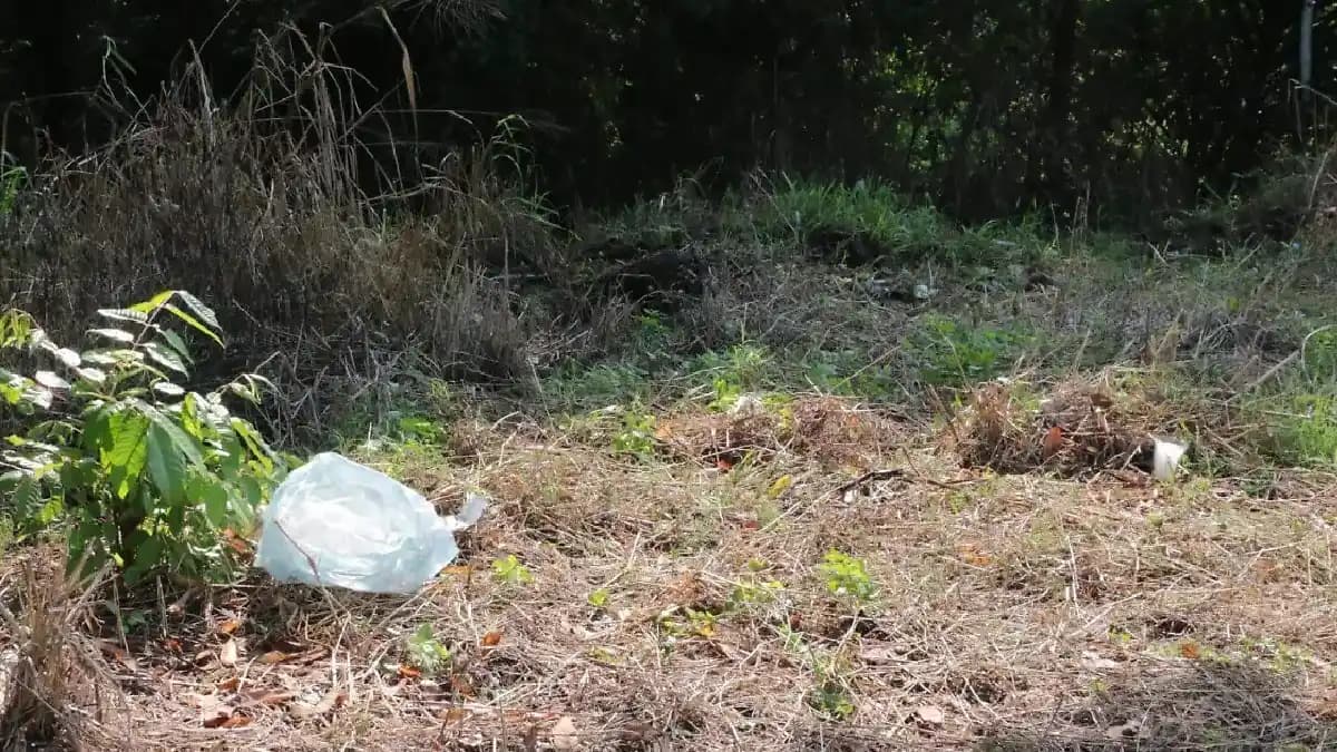 Abandonan cuerpo decapitado de un hombre en Veracruz