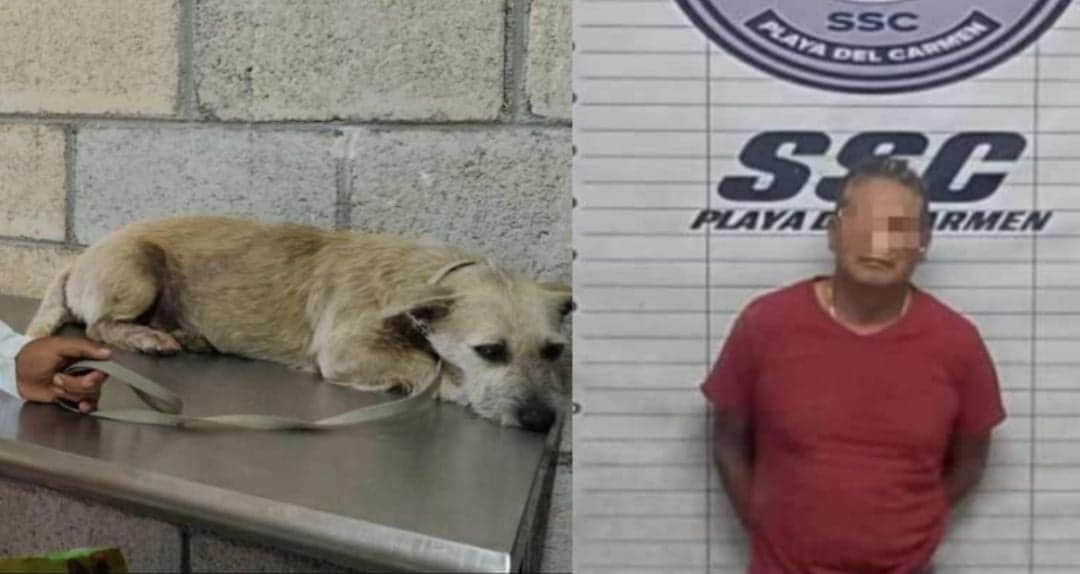 Ciudadanos golpean y amarran a sujeto acusado de abusar de una perrita en Playa del Carmen