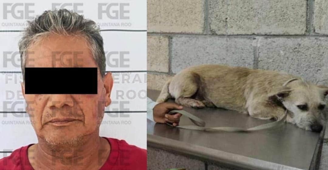 Vinculan a proceso al sujeto que abusó de una perrita en Playa del Carmen