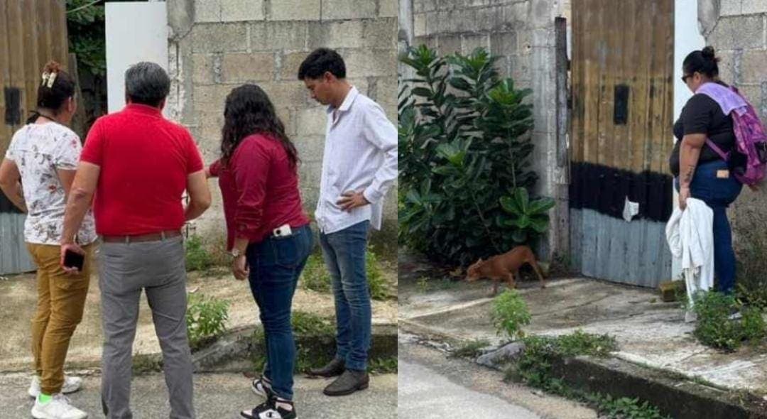 Detienen a adulto mayor acusado de abusar y machetear a un perrito en Cancún