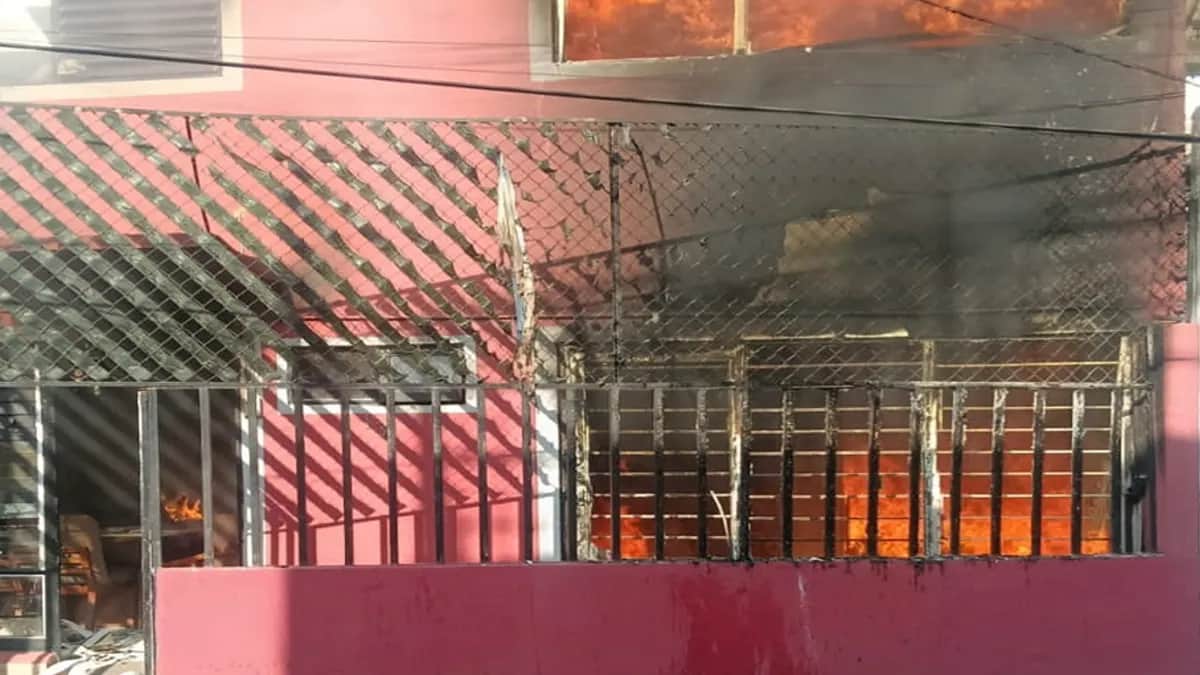 Video: Perrito fallece tras incendiarse un altar de Día de Muertos en Venustiano Carranza, Cdmx